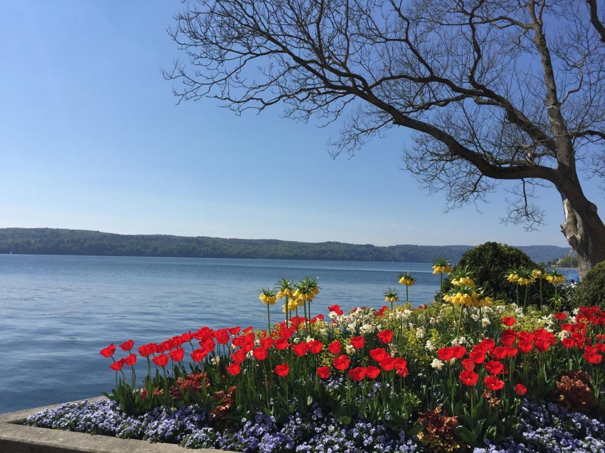 Pension Seliger Meersburg Kültér fotó